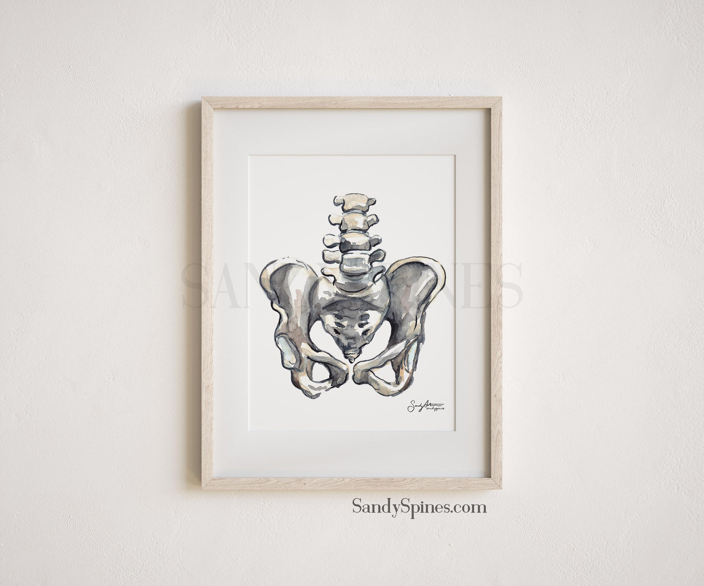 Grayscale Pelvis Print