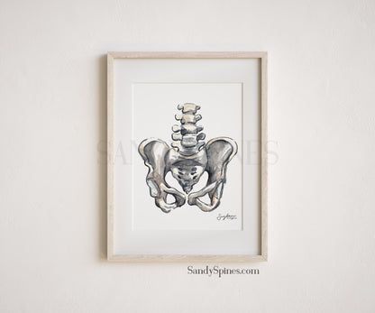 Grayscale Pelvis Print