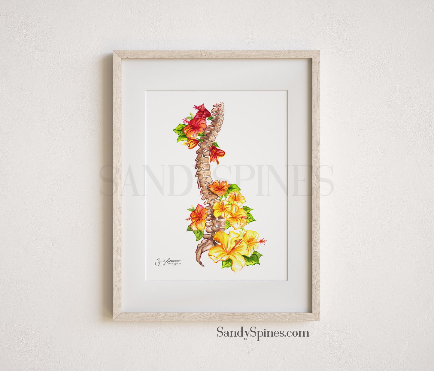 hibiscus spine watercolor painting with flowers around the anatomical spine