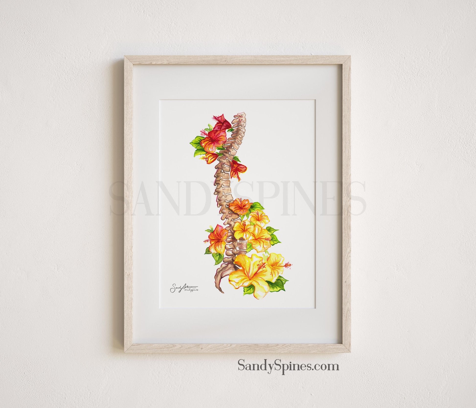 hibiscus spine watercolor painting with flowers around the anatomical spine