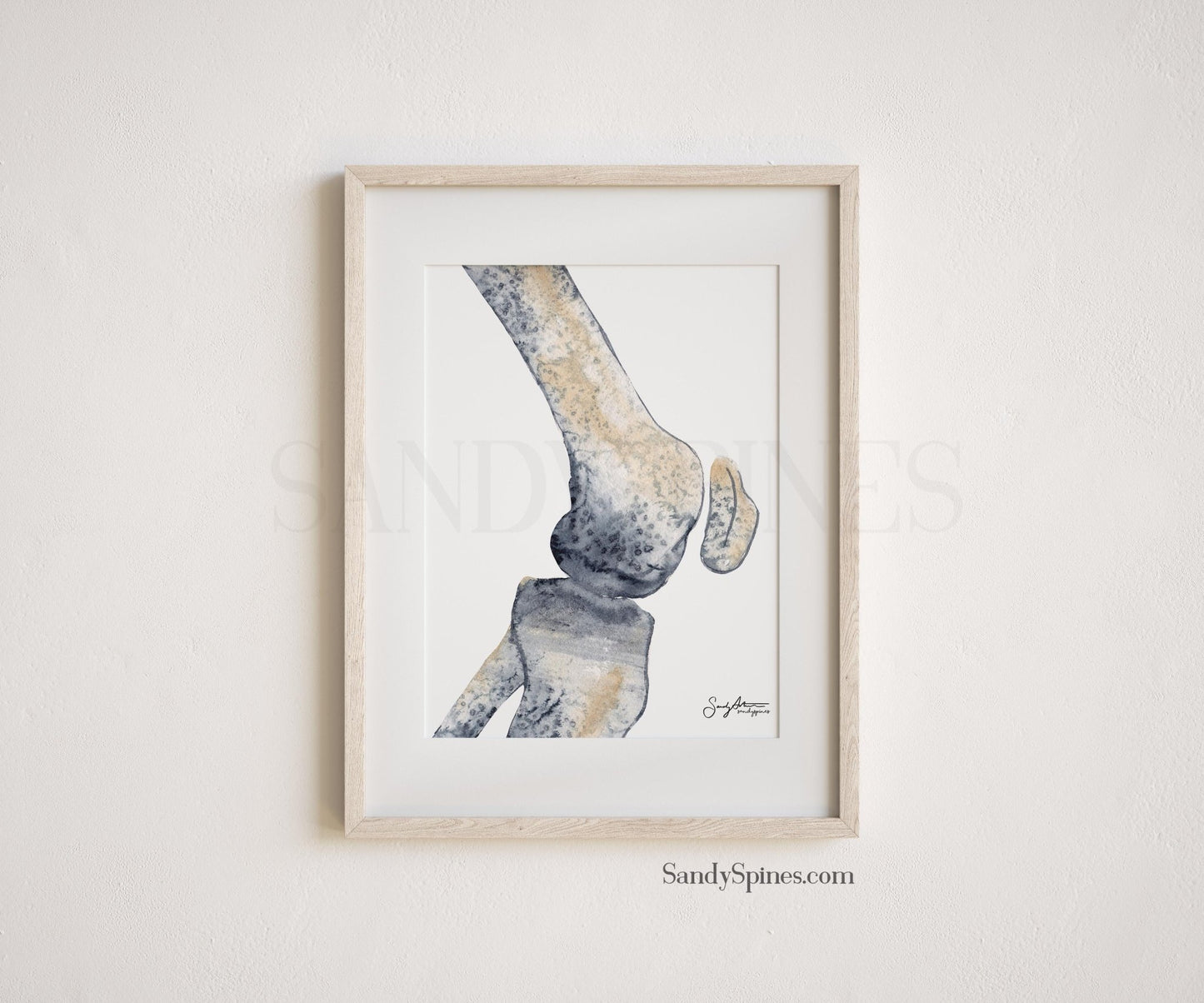 Knee Radiograph Watercolor Set of Prints - SandySpines