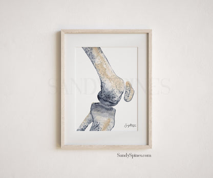 Knee Radiograph Watercolor Set of Prints - SandySpines