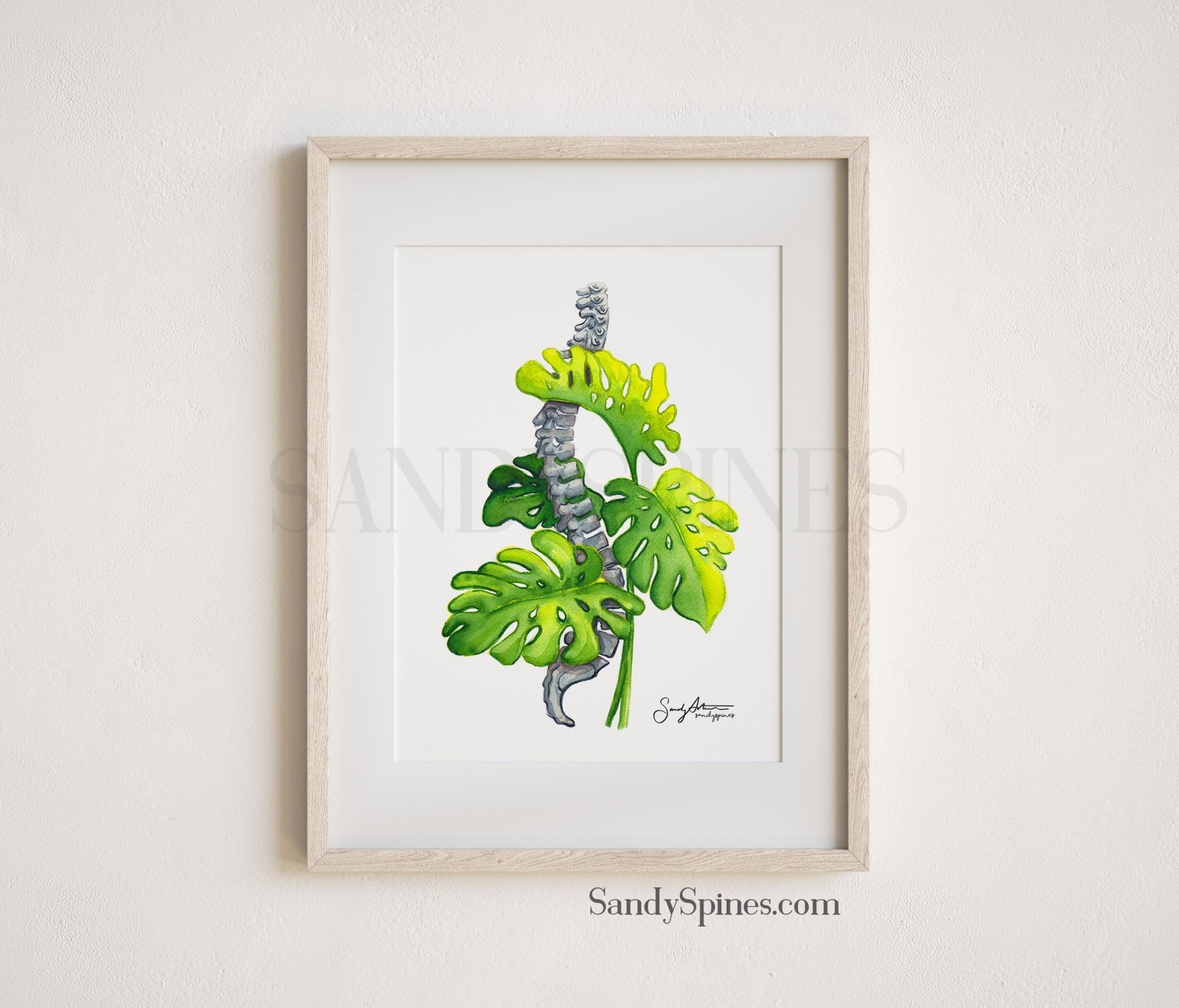 Monstera Plant Spine Print I - SandySpines
