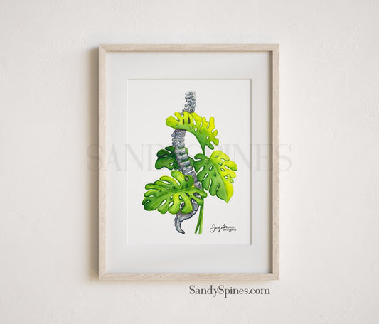 Monstera Plant Spine Print I - SandySpines