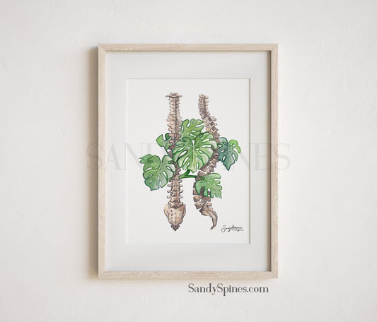 Monstera Spines II Watercolor Print - SandySpines