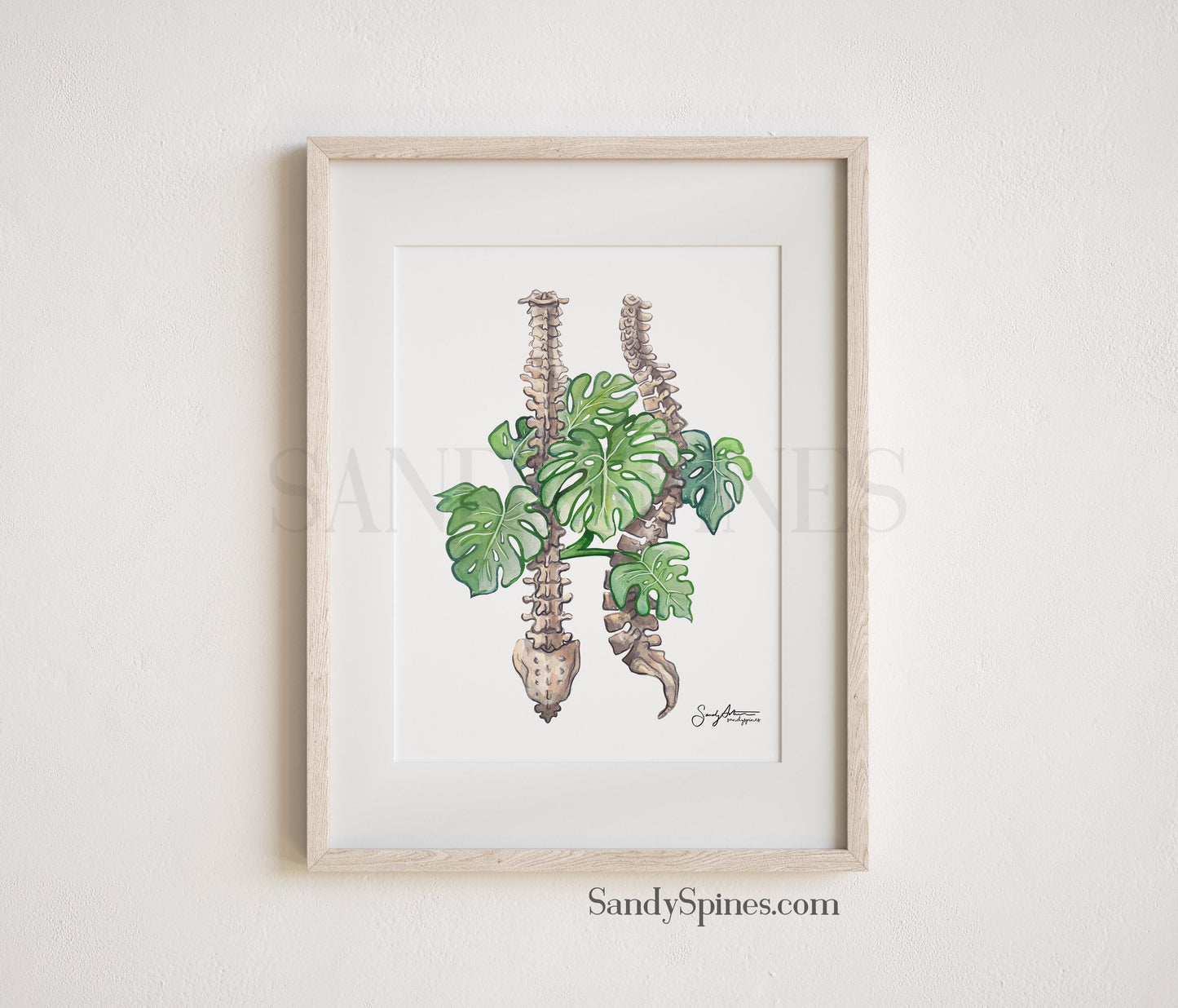 Monstera Spines II Watercolor Print