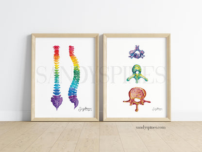 Rainbow Vertebrae Print