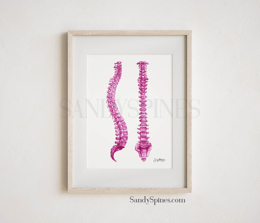 Pink Spines Print - SandySpines