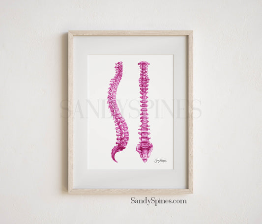 Pink Spines Print