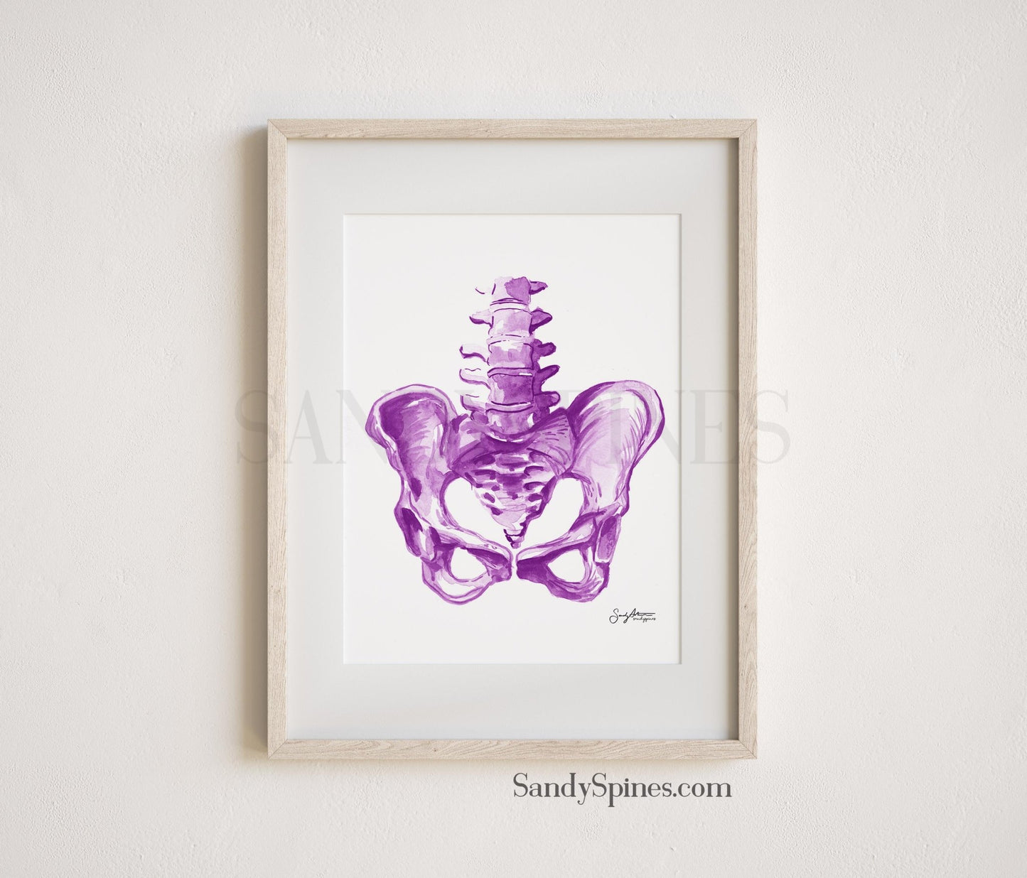 Purple Pelvis Print - SandySpines