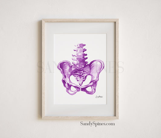 Purple Pelvis Print