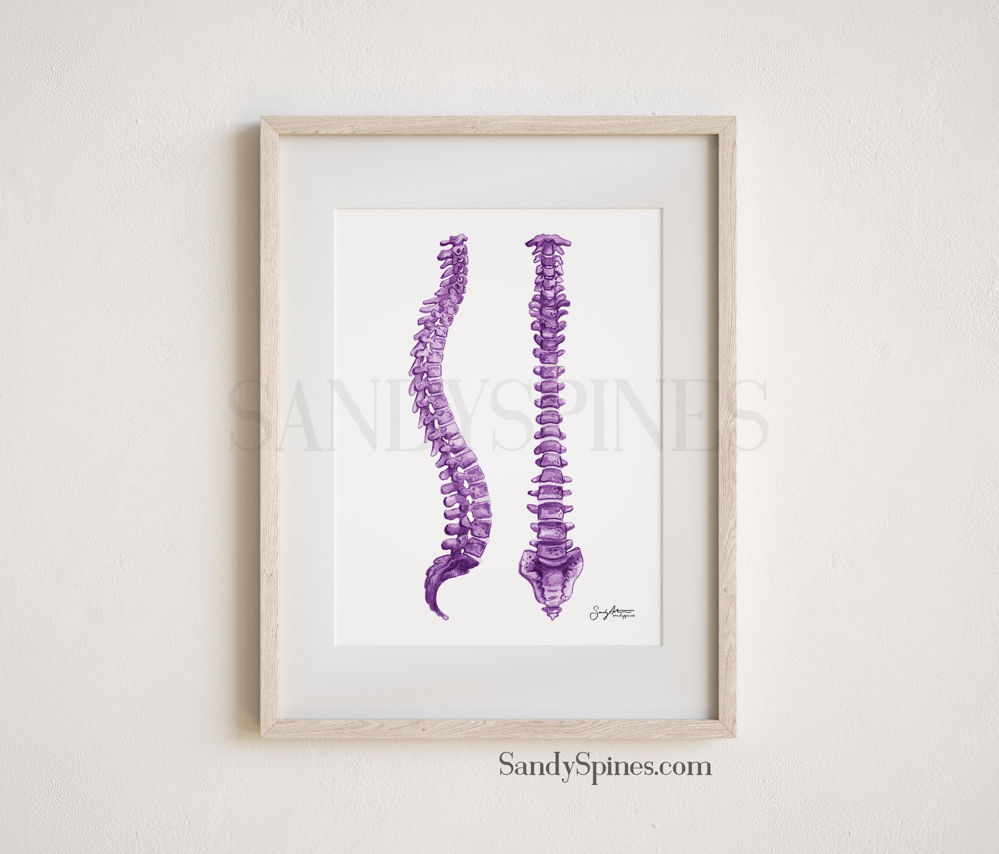 Purple watercolored spine print to decorate your office with. Would be perfect for a chiropractors office or doctors office.