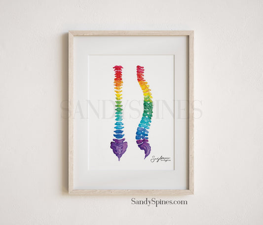 Rainbow Spines Print - SandySpines