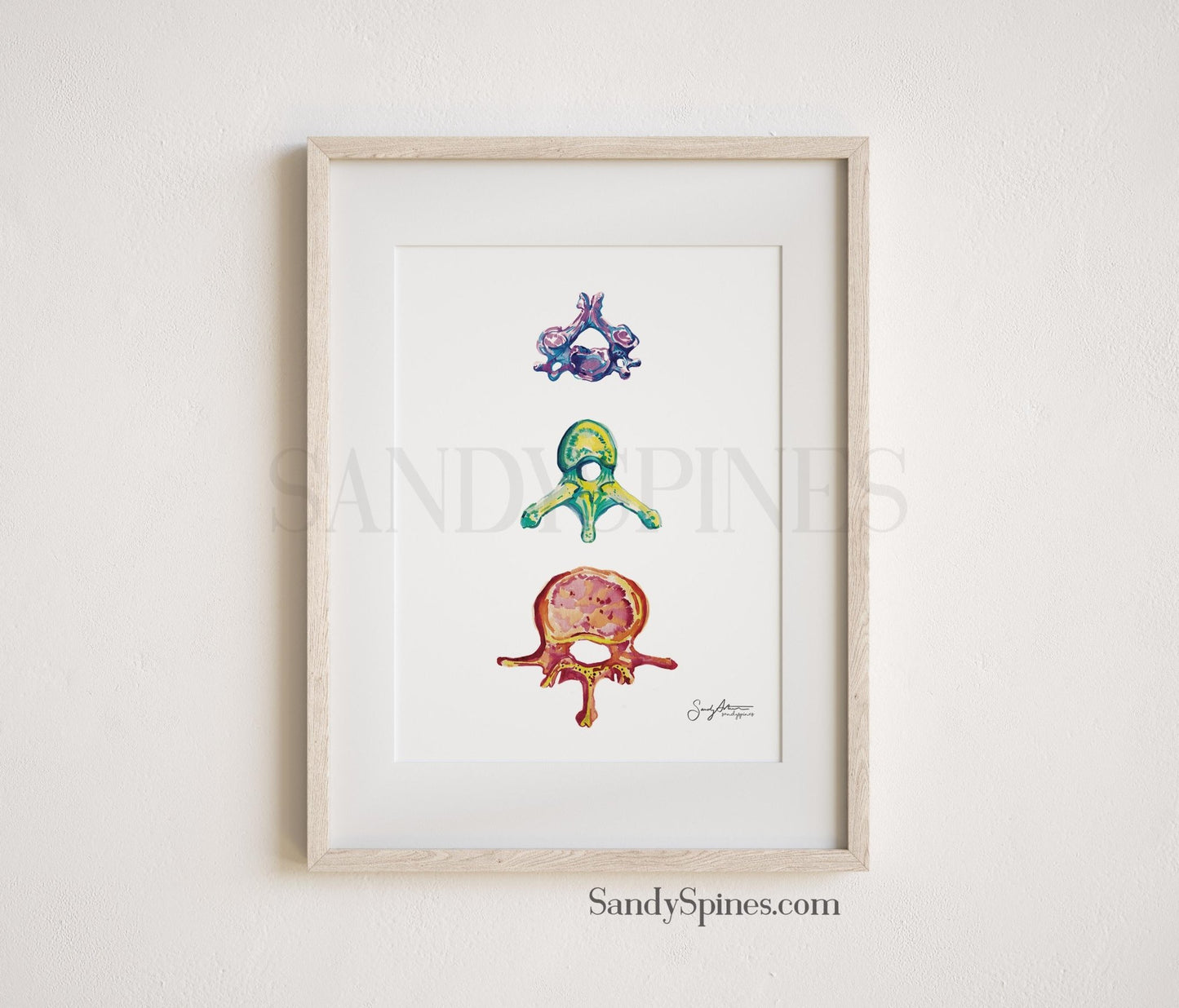 Rainbow Vertebrae Print - SandySpines