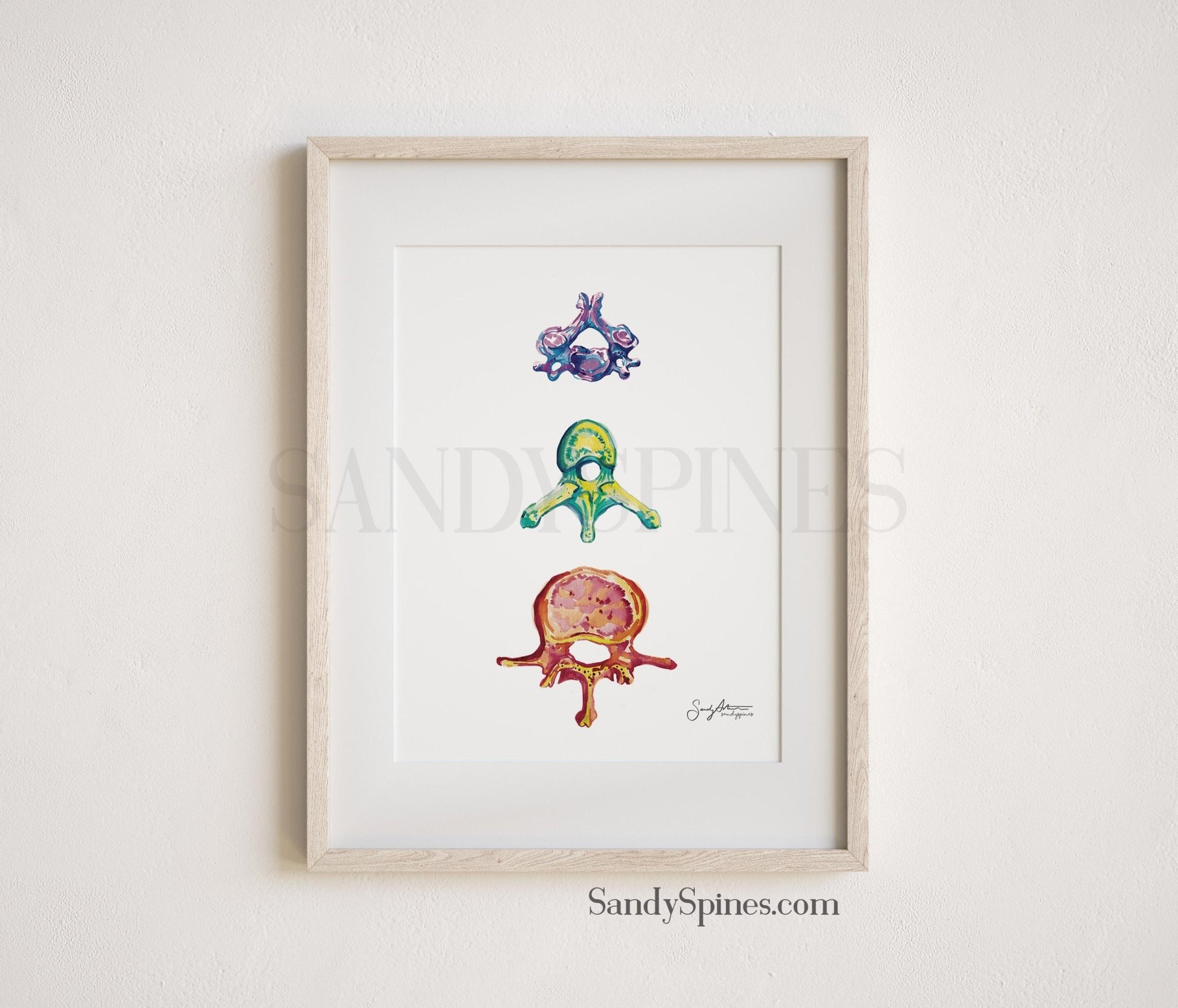 Rainbow Vertebrae Print - SandySpines