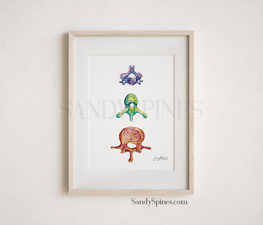Rainbow Vertebrae Print - SandySpines
