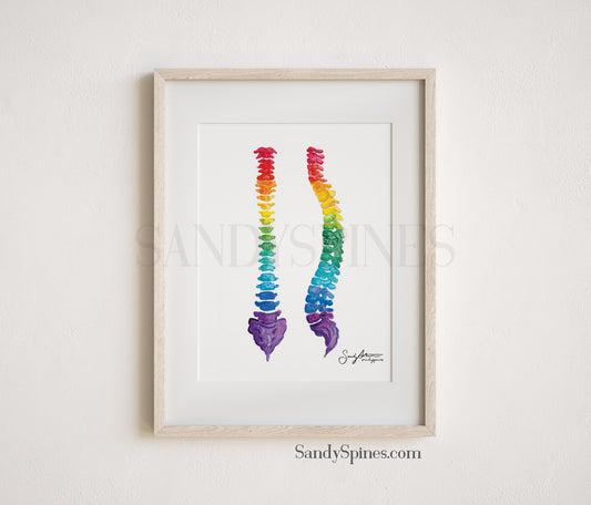 Rainbow Spines Print