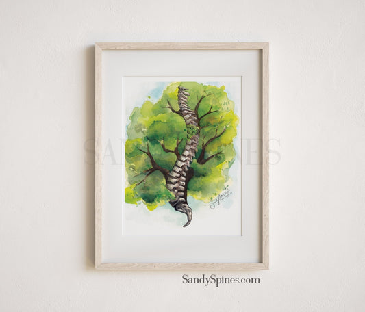 Spine of Life Print - SandySpines