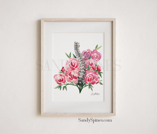 Spines and Roses - SandySpines