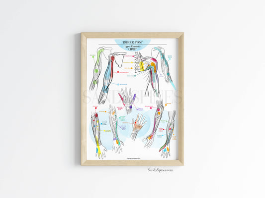 Trigger Point Charts | Upper Extremity