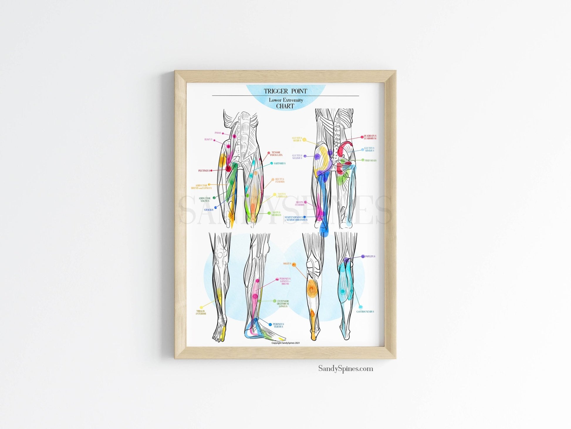 Trigger Point Charts | Lower Extremity - SandySpines