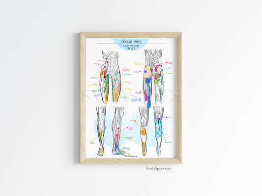 Trigger Point Charts | Lower Extremity
