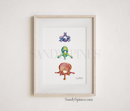 Rainbow Vertebrae Print